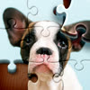 Jigsaw Puzzles: HD Puzzle Game